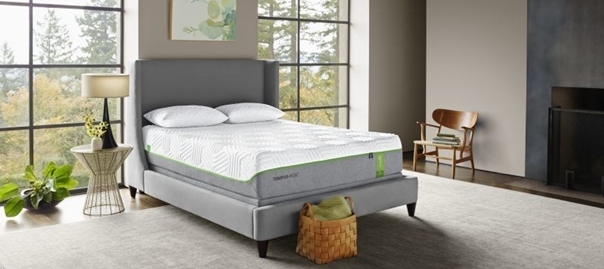 TEMPUR-Flex Collection by TEMPUR-Pedic - Behind The Buy